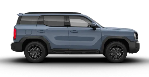 Пепельный антрацит