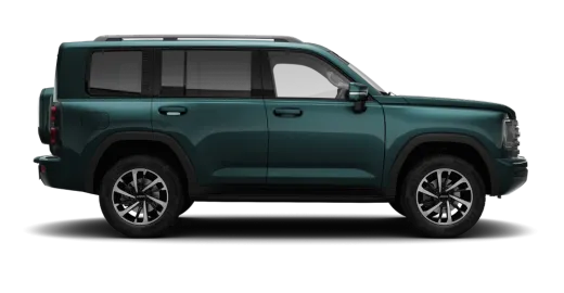 Сумрачный изумруд